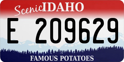 ID license plate E209629