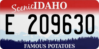 ID license plate E209630