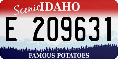 ID license plate E209631