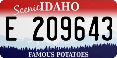 ID license plate E209643