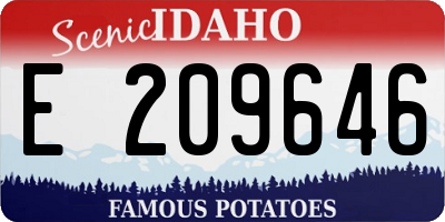 ID license plate E209646