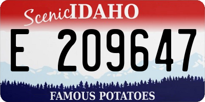 ID license plate E209647