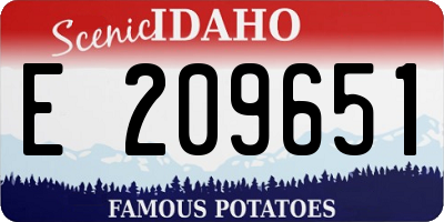 ID license plate E209651