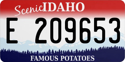 ID license plate E209653