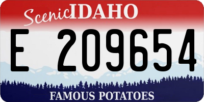 ID license plate E209654