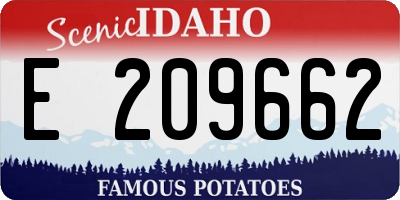 ID license plate E209662