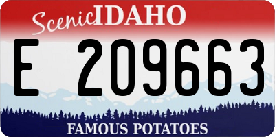 ID license plate E209663