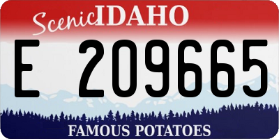 ID license plate E209665