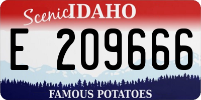ID license plate E209666