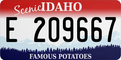 ID license plate E209667