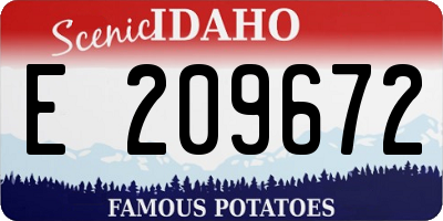 ID license plate E209672