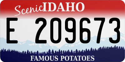 ID license plate E209673