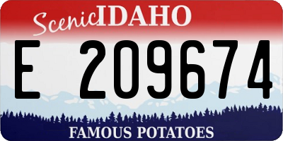 ID license plate E209674