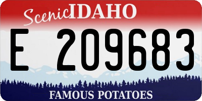 ID license plate E209683