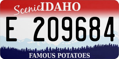 ID license plate E209684