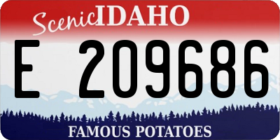 ID license plate E209686