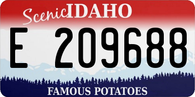 ID license plate E209688