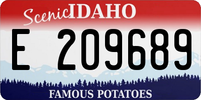 ID license plate E209689