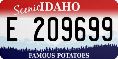 ID license plate E209699
