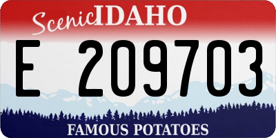 ID license plate E209703
