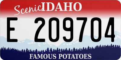 ID license plate E209704