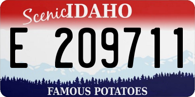 ID license plate E209711