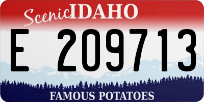 ID license plate E209713