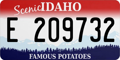 ID license plate E209732
