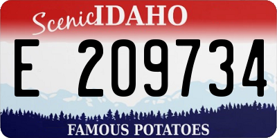 ID license plate E209734