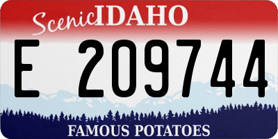 ID license plate E209744