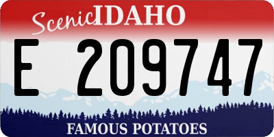 ID license plate E209747