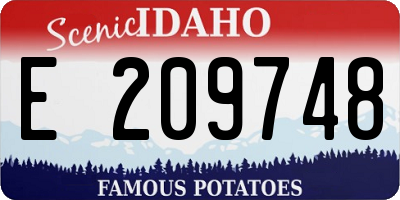 ID license plate E209748