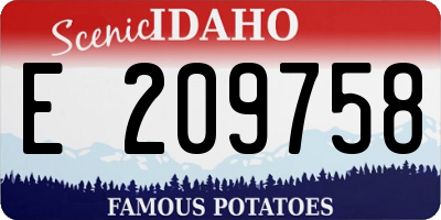ID license plate E209758
