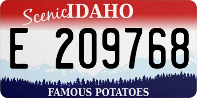 ID license plate E209768