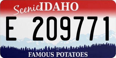 ID license plate E209771