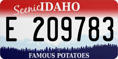 ID license plate E209783