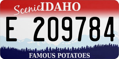 ID license plate E209784