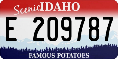 ID license plate E209787