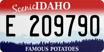 ID license plate E209790