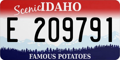ID license plate E209791