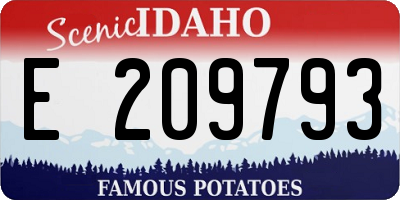 ID license plate E209793