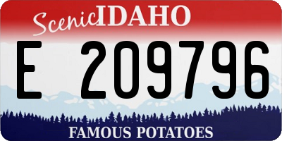 ID license plate E209796