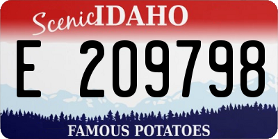 ID license plate E209798