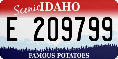 ID license plate E209799