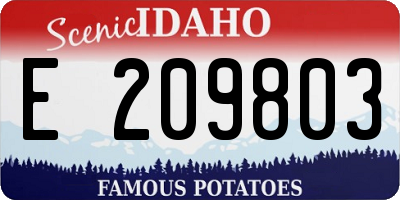 ID license plate E209803