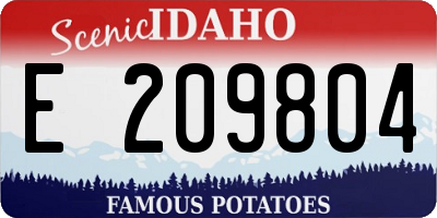 ID license plate E209804