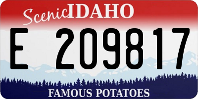 ID license plate E209817