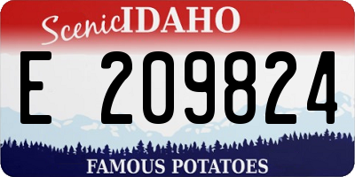 ID license plate E209824