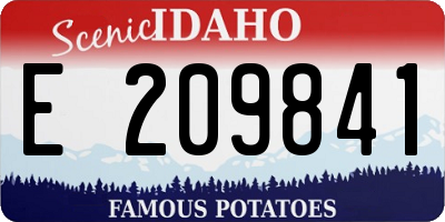 ID license plate E209841