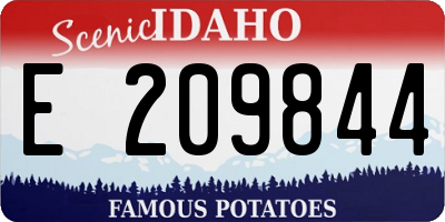 ID license plate E209844